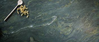 Detailaufnahme des Natursteins "Alpengrün" von Strasser Steine.